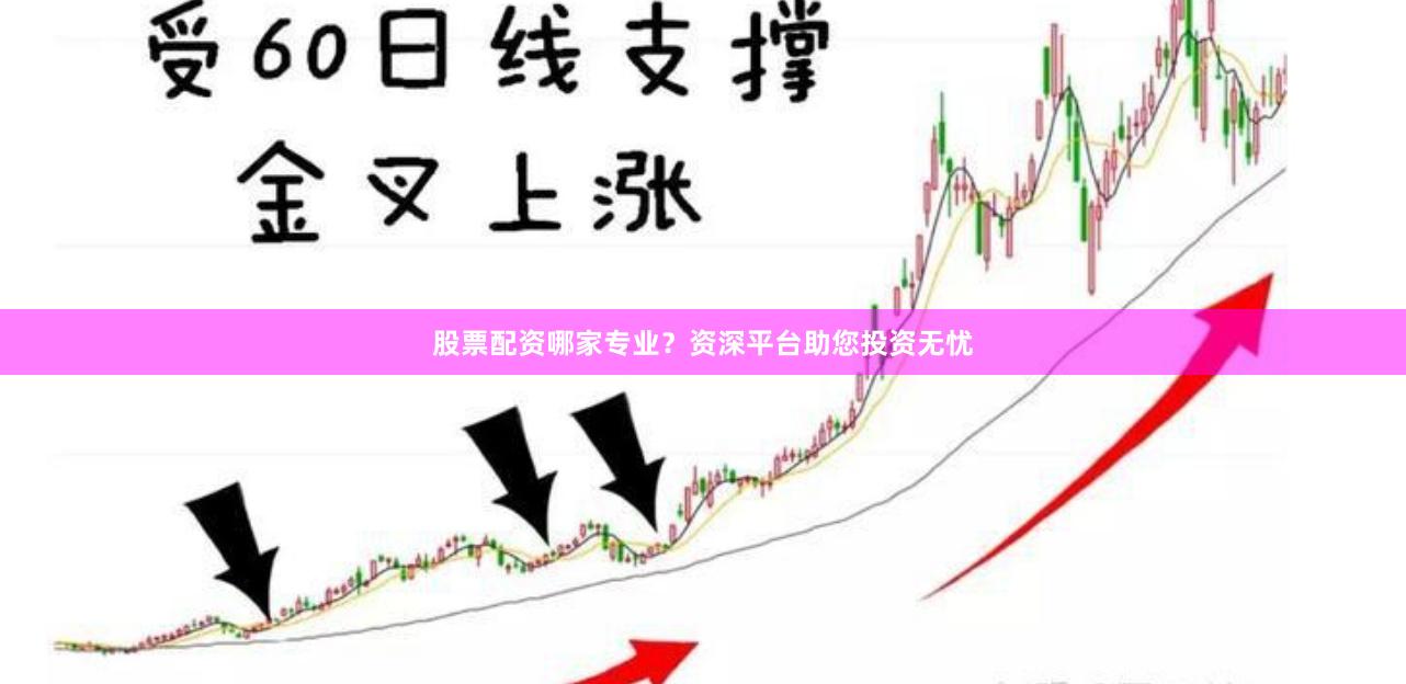 股票配资哪家专业？资深平台助您投资无忧