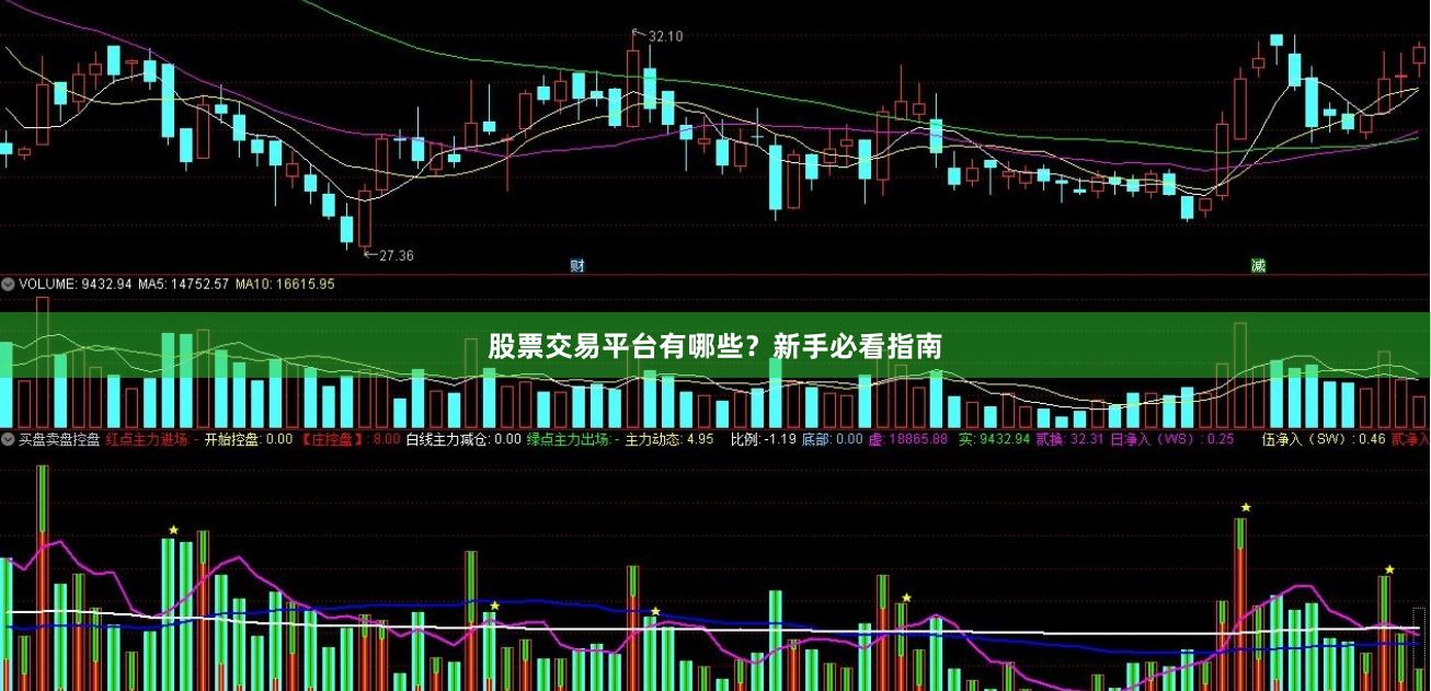 股票交易平台有哪些？新手必看指南